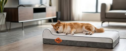 Image of Laifug Orthopedic Memory Foam Extra Large Dog Bed with Pillow and Durable Water Proof Liner & Removable Washable Cover & Smart Design (Large (40 inchx25 inchx5.5 inch),Dark Grey)