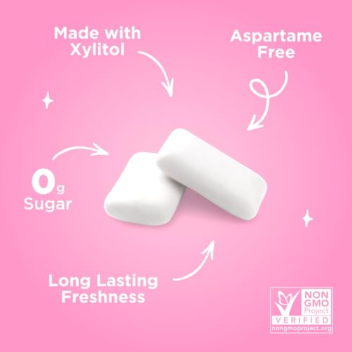 Image of PUR Gum | Aspartame Free Chewing Gum | 100% Xylitol | Natural Bubblegum Flavored Gum, 55 Pieces (Pack of 1)