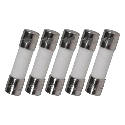 Fusibles en céramique 8A haute résistance thermique pour sécuriser vos appareils domestiques