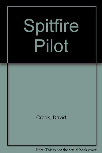 Spitfire Pilot view 2