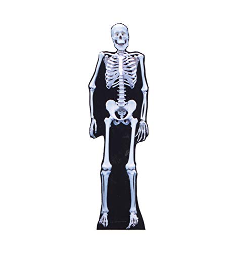 Cardboard People Skeleton Cardboard Cutout