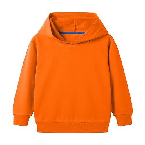 Toddler/kids Boys/girls Spring/autumn Hooded Long Sleeve Cuffs Solid Color Sweatshirt Daily School Sporty Wear 4t Boys