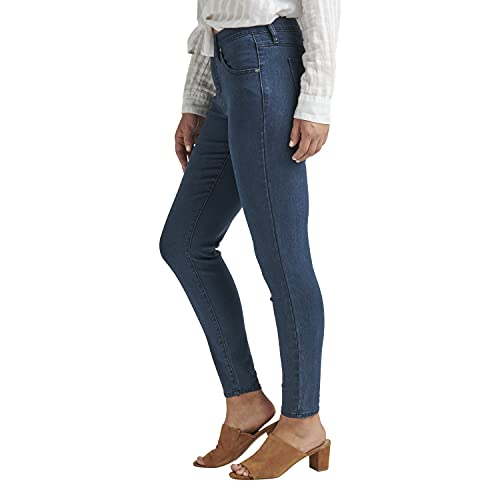 JAG Jeans Women's Cecilia Mid Rise Skinny Jeans, Castle Rock Edb403, 162