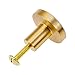 YPLonon Boutons de Porte Meuble Ronds en Laiton Lot de 4 Cuisine Boutons D'armoire Poignée de Placard Doré avec 4PCS Vis M4 pour Armoire, Tiroir, Cuisine, Décoration D'intérieur 20 MM