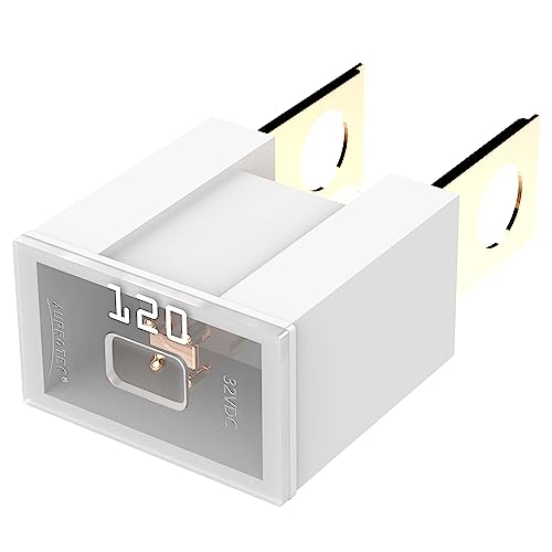 AUPROTEC Fusible bloc mâle PAL B, OTO BT Japon 30-140 A, choix: 120A ampères, blanc, 1 pièce