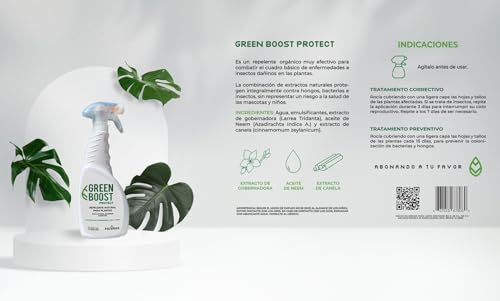 Cuidado Femenino, Guild Imagen adicional