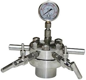 Huanyu 300ml 350℃ 22Mpa Hydrothermal Synthesis Reactor High Pressure Autoclave Reactor Digestion Tank Customized