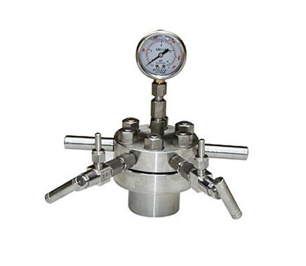 Huanyu 100ml 350℃ 22Mpa Hydrothermal Synthesis Reactor High Pressure Autoclave Reactor Digestion Tank Customized