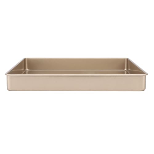 Bandeja para Horno de Acero al Carbono, Multifunional, 24,5 x 20,8 cm, Antiadherente y Calentamiento Rápido - Resistente y Versátil, Distribución Uniforme del Calor, Ideal para (Estilo 2)