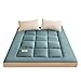 XYSQ Colchón Futón Tatami Japones Suelo Plegable Espesar Respirable Cojín De Dormir para El Hogar Doble Individual (Color : Green, Size : 150x200cm)