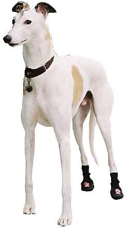 whippet boots uk