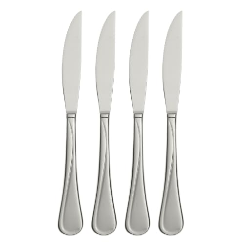 4-Piece Oneida Flatware Flight Steak Knives 18/0 Silverware Set for 4 - image 1