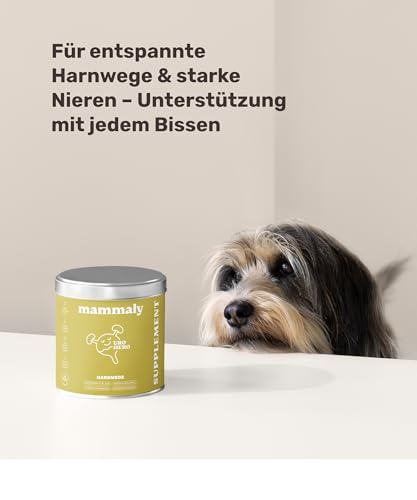 5-in-1 Blasen- & Nierenfutter für Hunde - URO Hero 120 Snacks (350g) von mammaly - Kann bei Blasenschwäche, Inkontinenz und Nierenprobleme unterstützen - mit Cranberry, Vitamin E, Beta-Carotin