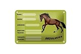 Laqué mat Plaque en tôle 18 x 12 cm Chevaux Box – Nom propriétaire race naissance vétérinaire : Andalousier DekoNo7