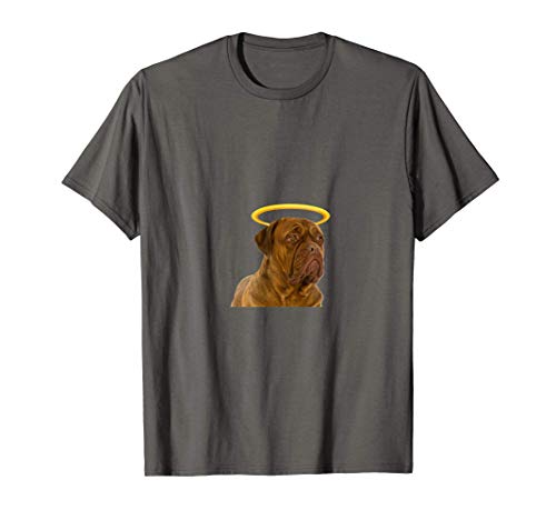 Holy Dog Dogues de Bordeaux Camiseta