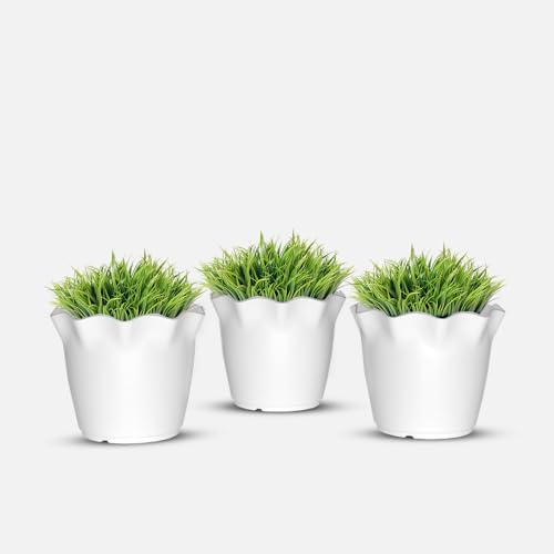 Image of YUCCABE ITALIA SHERA 4 Inch Plastic Flower Pot 3 Piece Set of Unbreakable Round Shape Planter for Home Garden Seedling, Indoor and Outdoor (White)