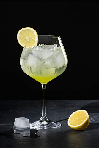 DIAMANTE Gin Glasses Copas 'Mirage' Set - Crystal Gin Balloon Glass with Optic Effect - Set of 4