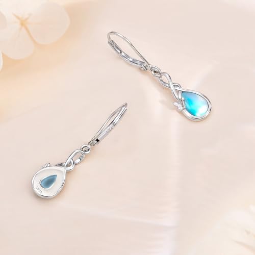 Infinity Butterfly Leverback Earrings for Women 925 Sterling Silver Infinity Teardrop Dangle Earrings Butterfly Jewelry Gifts for Mother Women Wife Her2