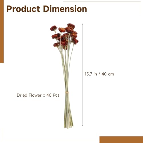 40 Piezas Flores Secas Rojas Naturales para Decoración miniatura 2