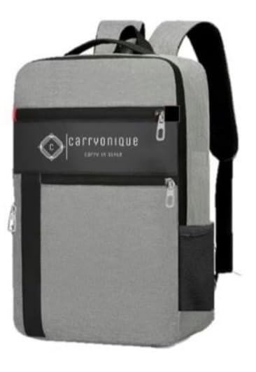 Carryonique 16 Litres Laptop Backpack Unisex Computer Bag With Bottle Holder Grey Business Style (B0D37HS2BP) Amazon Price History, Amazon Price Tracker