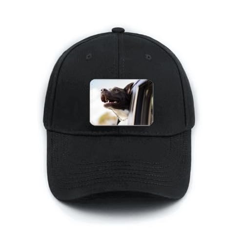 Casquette de baseball noire amour des chiens pour passionnés