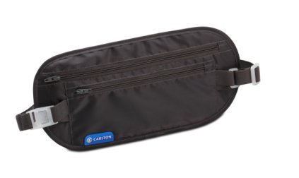 security waist pouch