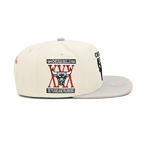 Mitchell & Ness Chicago Bulls NBA Chiment Snapback Hat Cap - Off White/Grey