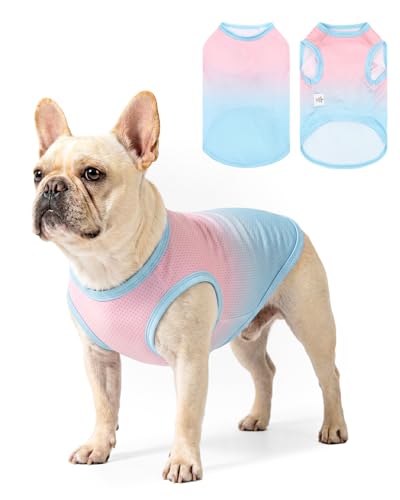 Image of CuteBone Ombre Dog Tank Top for Small Dogs, Cats - Tropical Summer Pet Vest - Breathable Ice Silk Cooling Shirt - Sun Protection, Photo, Casual Play, Walks