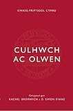 Culhwch ac Olwen