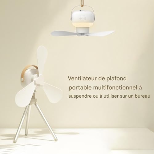 Ventilateur de plafond extérieur Teksome rechargeable 7200 mAh avec lumière et télécommande
