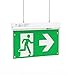 Produktbild Dauerlicht LED Notleuchte Notbeleuchtung Exit Notausgang Fluchtwegleuchte Notlicht Fluchtweg EXIT IP20 oder IP65 (Dauerlicht IP20)