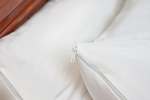 Hospitology Products Pillow Encasement- Zippered Bed Bug Dust Mite Proof Hypoallergenic - Sleep Defense System - Queen - Waterproof - Set Of 2 - 20" H X 30" W #TOP3