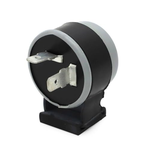 JRSHOME 6 Volt 2 Prong Turn Signal Flasher Winker Relay for 1975-1979 Honda CT90 Trail Replace 38300-428-004,38301-428-671,38310-428-671