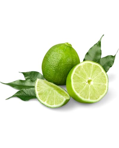 yAizLVRYC 5kg (40 or 44) |Xgn[xXg_sgp mP~ h΂ hJr sgp JNe q[g