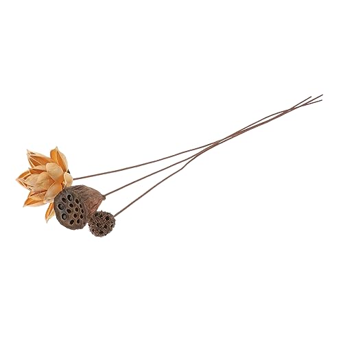 Tallos de loto seco para decoración zen