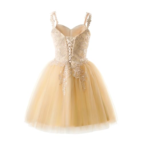 Women's Homecoming Dresses Short Spaghetti Straps Sparkly Lace Applique Short Prom Dresses 20243