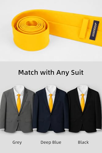Image of HISDERN Mens Ties Solid Color Ties for Men Formal Necktie with Pocket Square Set Satin Silk Neck Tie Handkerchiefs Set