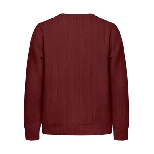 Boys Girls Sweater Winter Casual Sweatshirts Long Sleeve CEW Neck Tops Shirts School Uniform Lining for 5-15Y2