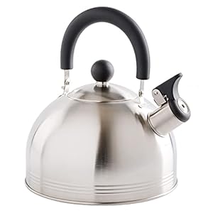 Mr. Coffee Carterton Stainless Steel Whistling Tea Kettle, 1.5-Quart, Mirror Polish