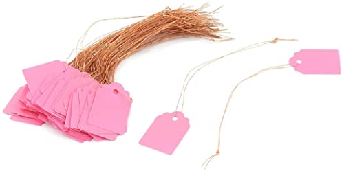 XYWHPGV Seme di fiori di piante da giardino in plastica da appendere con nome tag etichetta marcatore 100 pezzi rosa(562b5 e7b7f 56b3b a0222 91db5 bcd52