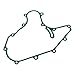 Crankcase Cover Gasket Compatible with Automotive Motorcycle Parts NS200 BS6 RS200 BS4 RS200 BS6 for Part Number JG541211