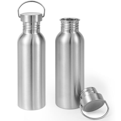 Volhoply 26oz Uninsulated Single Walled Water Bottle 2 Pack, Stainless Steel Reusable Water Bottles with Handle, BPA Free & Plastic Free 18/8 304 Metal Water Bottles for Camping, Hikers, Cyclists