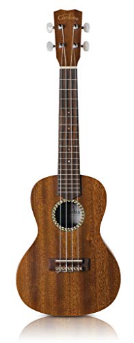 Cordoba 20CM Ukulélé en acajou - Les Beatles, Paul McCartney, John Lennon, RIngo Starr, George Harrison Cordoba 20CM Ukulélé en acajou – Image 3
