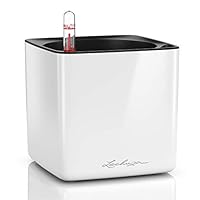 LECHUZA CUBE Glossy 14 weiß-highgloss 13510