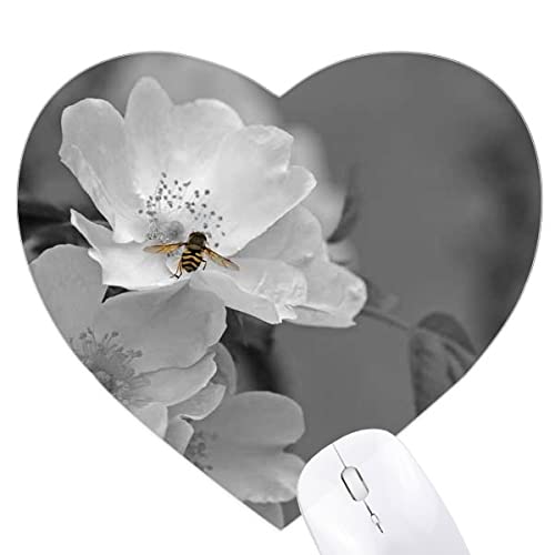 Tapis de souris fleur noir et blanc en forme de coeur pour bureau