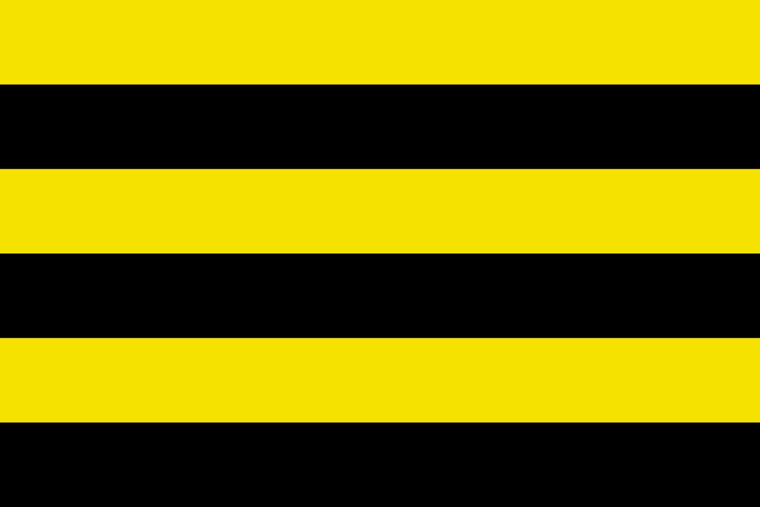 Drapeau Schiedam XL drapeau paysage des Pays-Bas grand pavillon extérieur