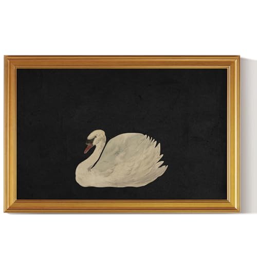Image of HUARCEY Gold Framed Vintage Wall Art for Living Room, Grace Swan Art Painting Pictures Animal Bathroom Prints Farmhouse Wall Decor Large Canvas Swan Aesthetic Decor for Kitchen Bedroom Zwaan 24 inchx36 inch