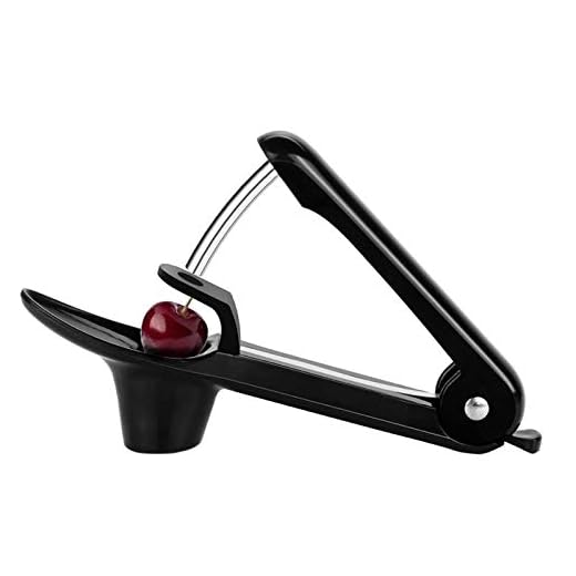 Cherry Pitter Tool Cherry Seed Remover Olive Pitter