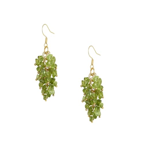 Natural Gemstone Earrings for Women | Natural Tumbled Stones Chip Earrings | Semi Precious Stone Cluster Earrings | Reiki Healing Crystal Long Dangle Hook Eardrop | Birthstone Gift