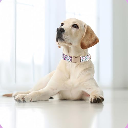 Collier réglable pour chien à motif fleurs en coton doux pour les vacances - 6